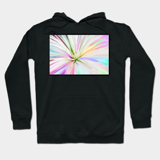 Pastel Spider Mum Hoodie